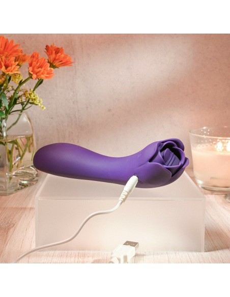 Vibromasseur Evolved Violet