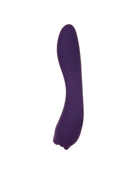 Vibromasseur Evolved Violet