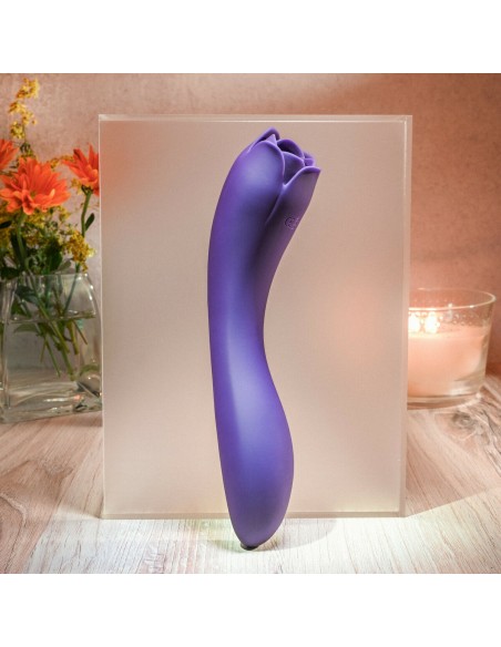 Vibromasseur Evolved Violet