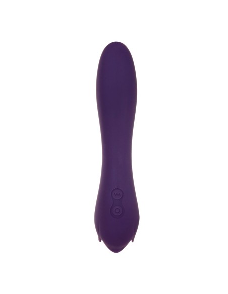 Vibromasseur Evolved Violet