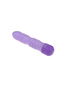 Vibromasseur à boules Evolved Violet 2