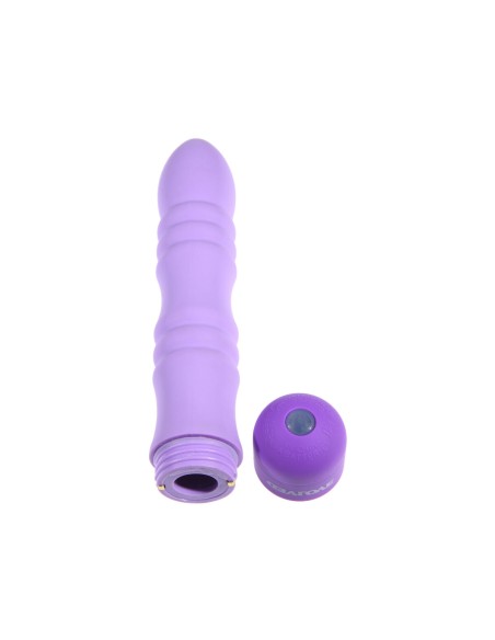 Vibromasseur à boules Evolved Violet