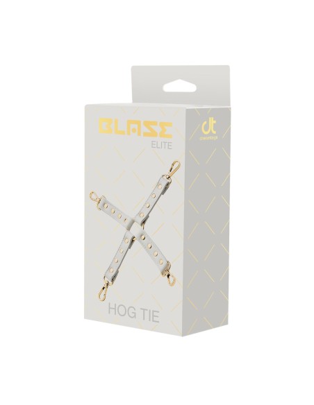 Balançoire Dream Toys Blaze