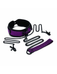 Kit Grand Plaisir Whipsmart