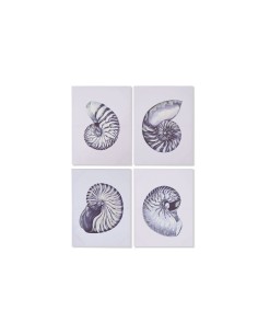 Cadre Home ESPRIT Conque 60 x 2,5 x 80 cm (4 Unités)