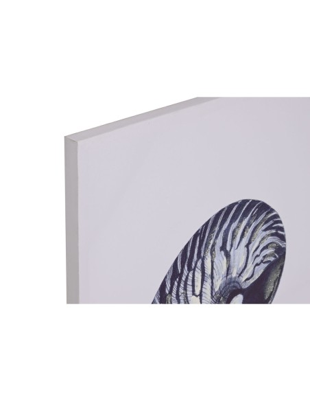 Cadre Home ESPRIT Conque 60 x 2,5 x 80 cm (4 Unités)