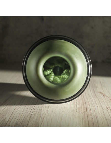Vortex Dame Rose Selopa Selopa Vert