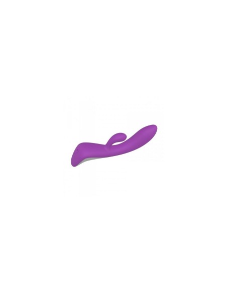 Vibrateur G-Spot Toyz4lovers Pourpre