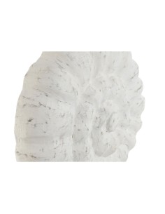 Figurine Décorative Home ESPRIT Blanc Naturel méditerranéen Conque 29 x 7,5 x 38,5 cm 2