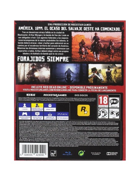 Jeu vidéo PlayStation 4 Sony RDR2