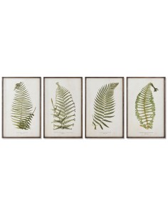 Cadre Home ESPRIT Fougère Cottage 45 x 2,5 x 70 cm (4 Unités)