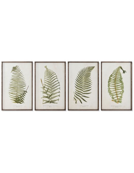 Cadre Home ESPRIT Fougère Cottage 45 x 2,5 x 70 cm (4 Unités)