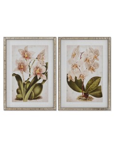 Cadre Home ESPRIT Tropical Orchidée 50 x 2,5 x 70 cm (2 Unités)
