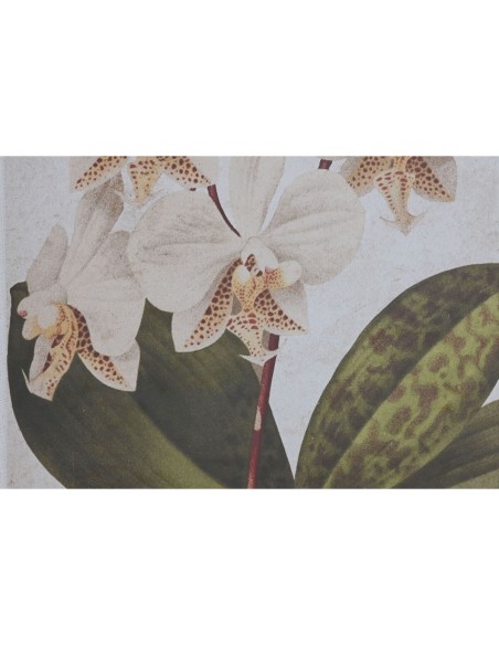 Cadre Home ESPRIT Tropical Orchidée 50 x 2,5 x 70 cm (2 Unités)
