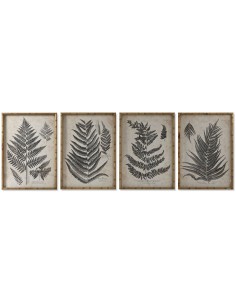 Cadre Home ESPRIT Fougère Cottage 50 x 2,5 x 70 cm (4 Unités)