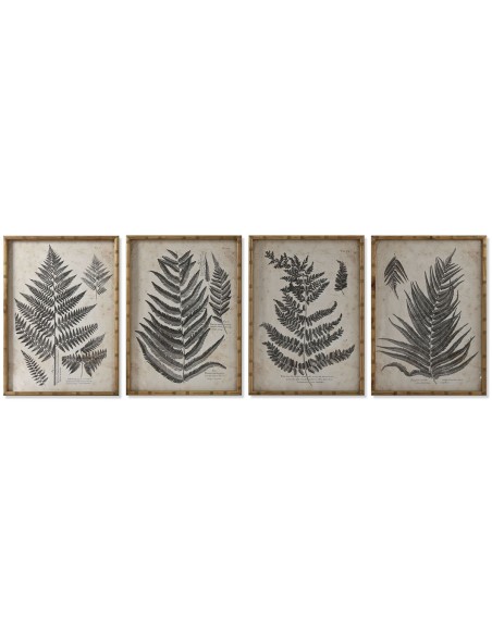 Cadre Home ESPRIT Fougère Cottage 50 x 2,5 x 70 cm (4 Unités)