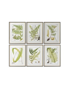 Cadre Home ESPRIT Moderne Fougère 50 x 2,5 x 65 cm (6 Unités)