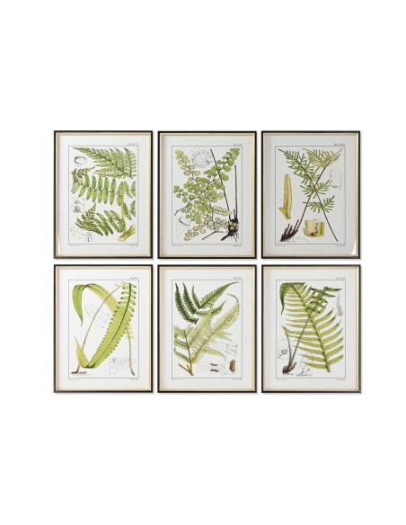 Cadre Home ESPRIT Moderne Fougère 50 x 2,5 x 65 cm (6 Unités)