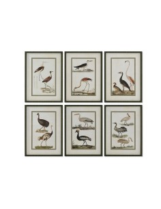 Cadre Home ESPRIT Oiseaux Cottage 40 x 2,5 x 54 cm (6 Unités)