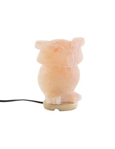 Lampe de bureau DKD Home Decor Rose Sel Acacia 15 W 220 V 14 x 14 x 18 cm