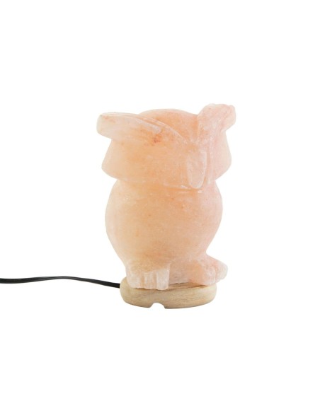 Lampe de bureau DKD Home Decor Rose Sel Acacia 15 W 220 V 14 x 14 x 18 cm