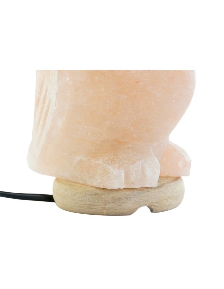 Lampe de bureau DKD Home Decor Rose Sel Acacia 15 W 220 V 14 x 14 x 18 cm