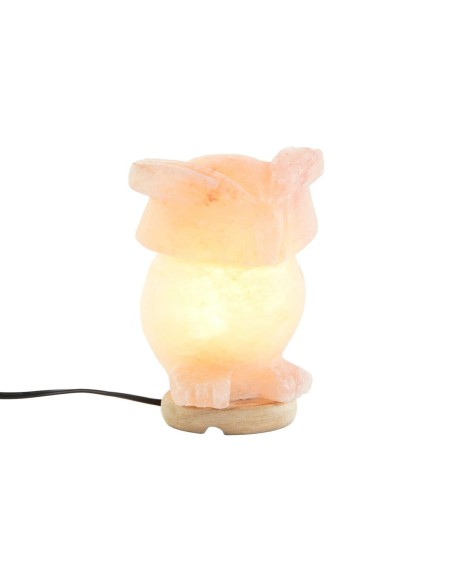 Lampe de bureau DKD Home Decor Rose Sel Acacia 15 W 220 V 14 x 14 x 18 cm