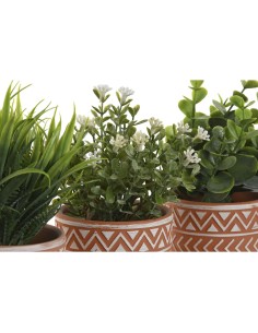 Plante décorative Home ESPRIT Polyéthylène Ciment 12 x 12 x 17 cm (3 Unités) 2