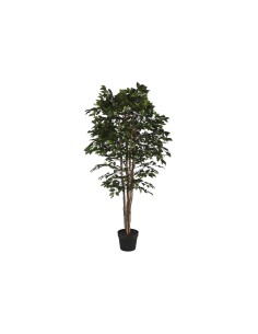 Arbre Home ESPRIT Polyéthylène Ficus 100 x 100 x 210 cm