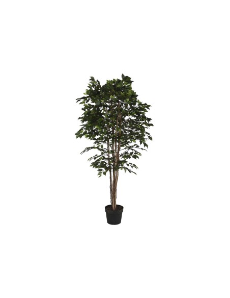 Arbre Home ESPRIT Polyéthylène Ficus 100 x 100 x 210 cm