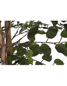 Arbre Home ESPRIT Polyéthylène Ficus 100 x 100 x 210 cm 2