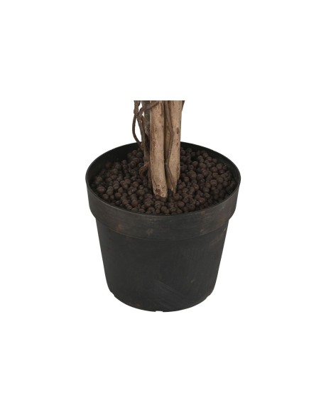 Arbre Home ESPRIT Polyéthylène Ficus 100 x 100 x 210 cm