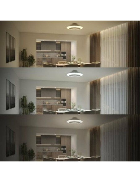 Ventilateur de Plafond avec Lumière Philips Blanc