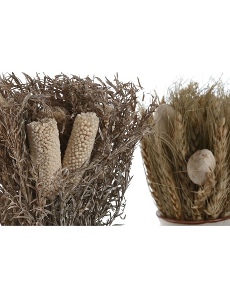 Plante décorative Home ESPRIT Fleur 13 x 13 x 25 cm (2 Unités) (12 Unités)