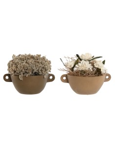 Plante décorative Home ESPRIT Fleur 22 x 22 x 14 cm (2 Unités)