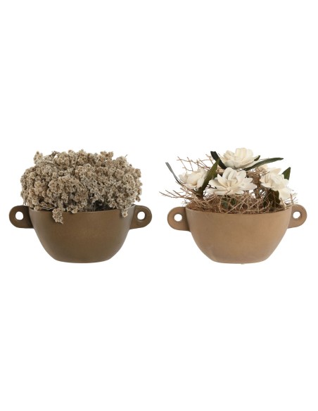 Plante décorative Home ESPRIT Fleur 22 x 22 x 14 cm (2 Unités)