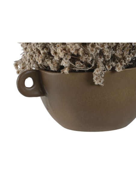 Plante décorative Home ESPRIT Fleur 22 x 22 x 14 cm (2 Unités)