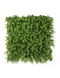 Jardin vertical Ibergarden Vert Plastique Volets 50 x 50 cm