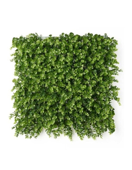 Jardin vertical Ibergarden Vert Plastique Volets 50 x 50 cm