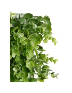 Jardin vertical Ibergarden Vert Plastique Volets 50 x 50 cm 2
