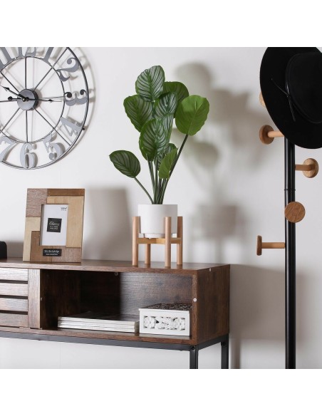 Plante décorative Versa