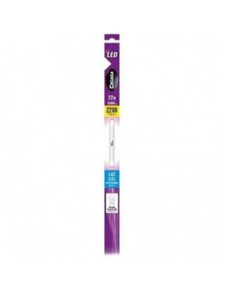 Lampe LED Cegasa