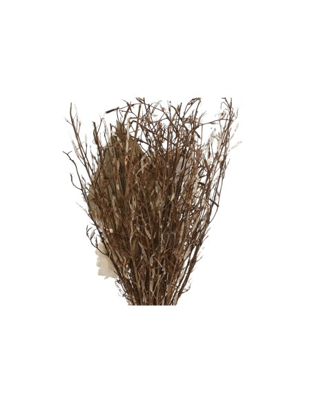 Plante décorative Home ESPRIT Verre Fleur 11 x 11 x 40 cm (3 Unités)