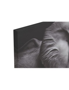 Cadre Home ESPRIT Imprimé Moderne 120 x 3 x 80 cm (2 Unités) 2