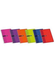 Bloc de Notes ENRI 80 Volets 4 mm (10 Unités) 2