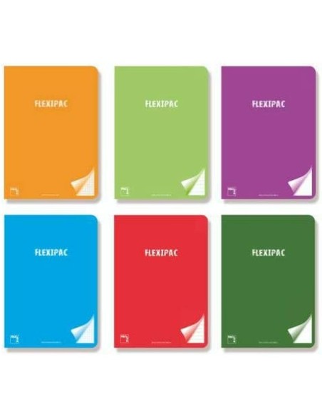 Carnet Pacsa Multicouleur A4 48 Volets 3,5 mm Rayures (6 Pièces)