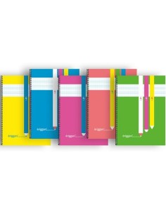 Cahier Eriggan Din A4 80 Volets (5 Unités) 2