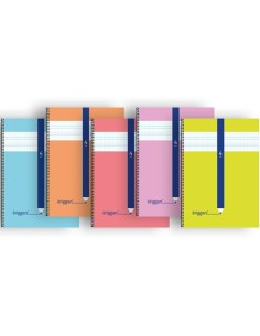 Cahier Eriggan Din A4 80 Volets (10 Unités) 2