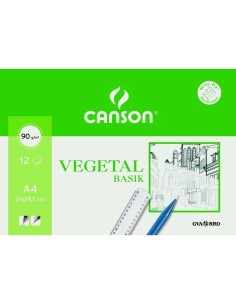 Papier à dessin Canson VEGETAL BASIK A4 12 Volets (20 Unités) 2