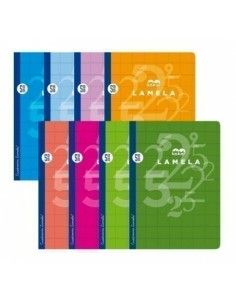 Carnet Lamela Multicouleur quarto (10 Unités) 2